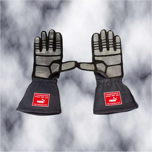 2017 Max Verstappen Red Bull F1 Gloves