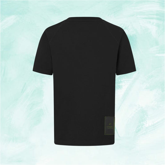 Aston Martin T-shirt F1 Team Alonso Stroll Black