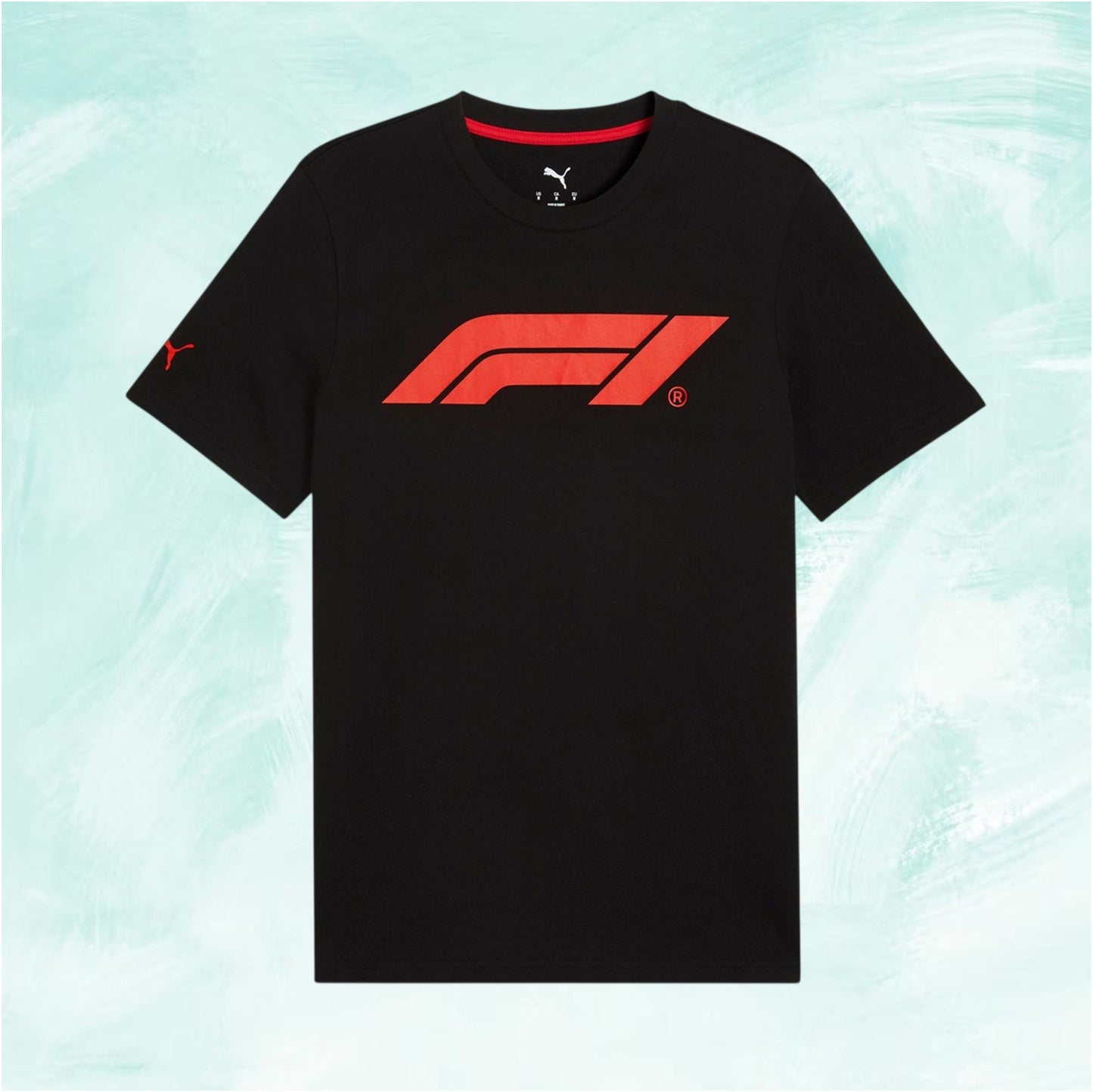 F1 Essentials Logo Men Regular Fit T-shirt