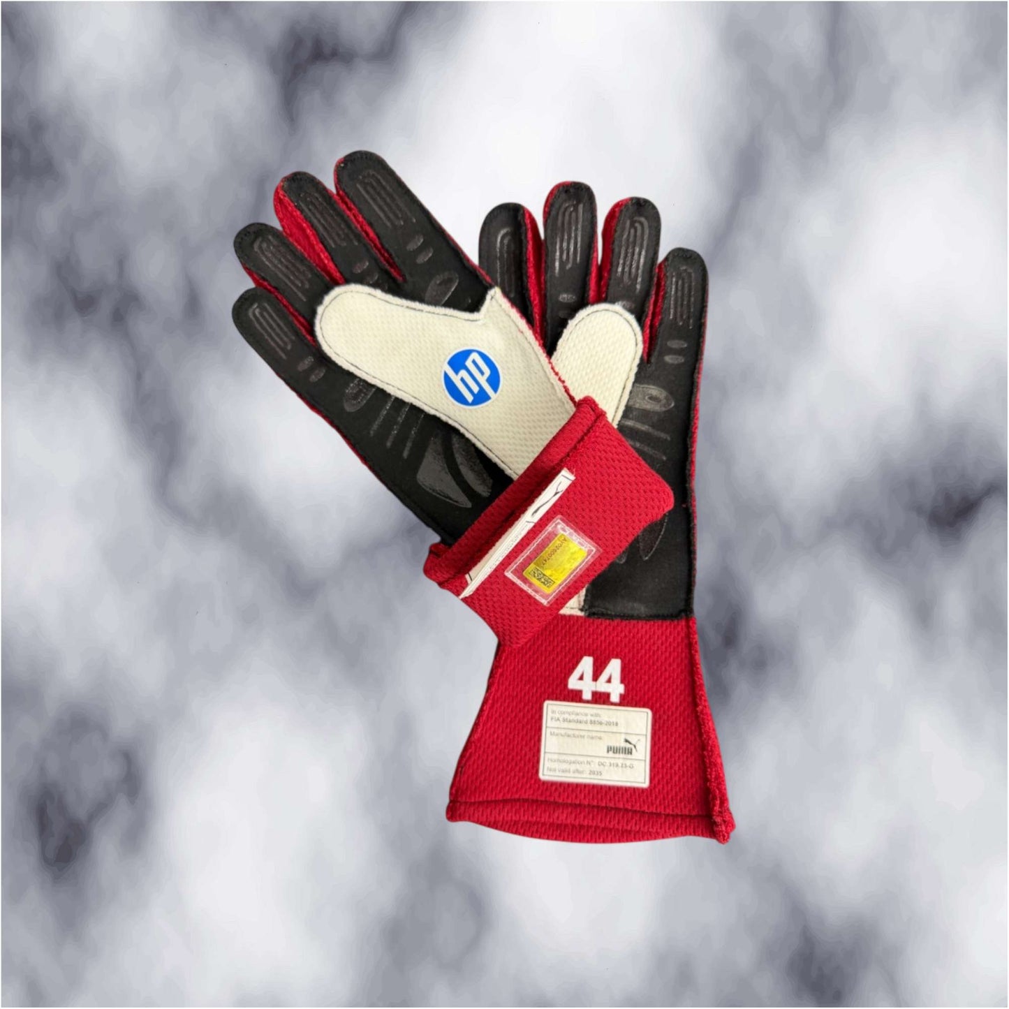 Lewis Hamilton / Charles Leclerc 2025 F1 Gloves