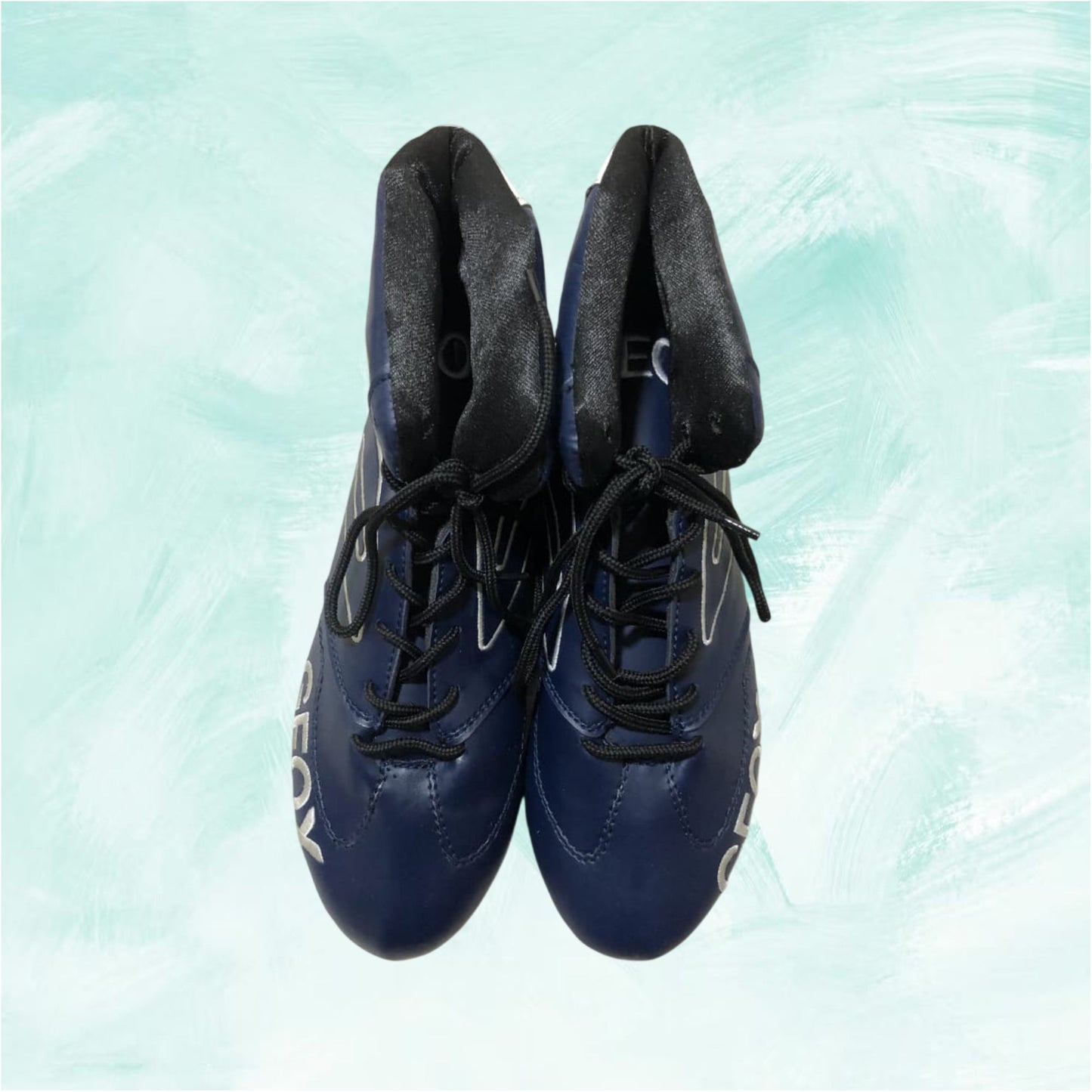 Geox Red Bull Racing driver shoes